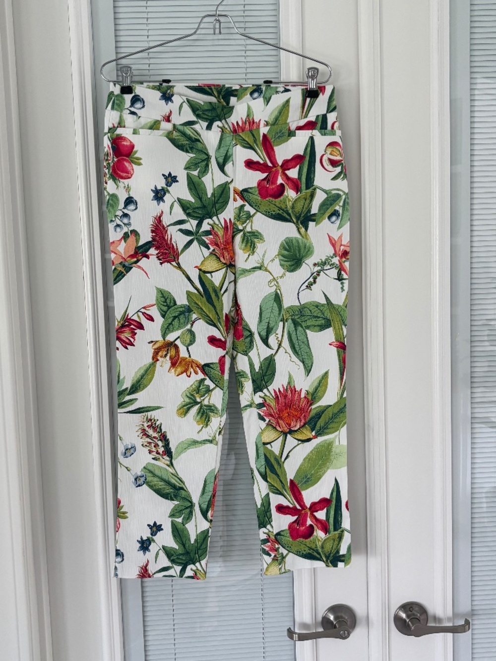 NWOT Chicos Brigitte Pullon Pants Green Botanical Sz 6